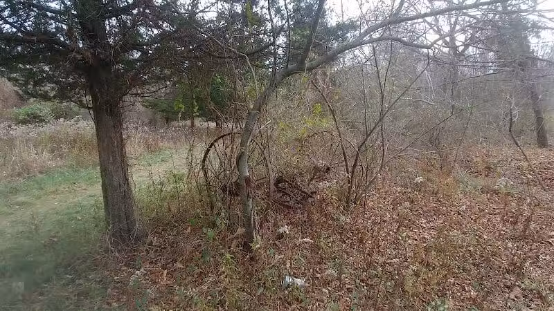 Grace Richardson Conservation Area - Fairfield, CT
