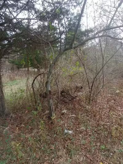 Grace Richardson Conservation Area - Fairfield, CT