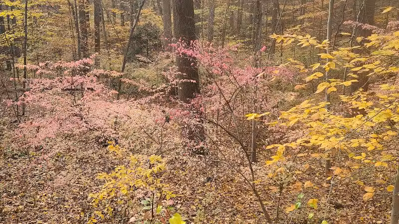 Grace Richardson Conservation Area - Fairfield, CT