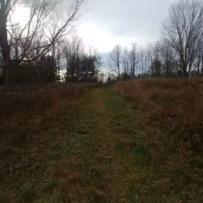 Grace Richardson Conservation Area - Fairfield, CT