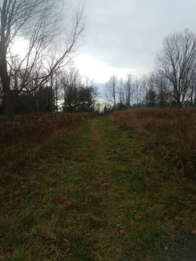 Grace Richardson Conservation Area - Fairfield, CT