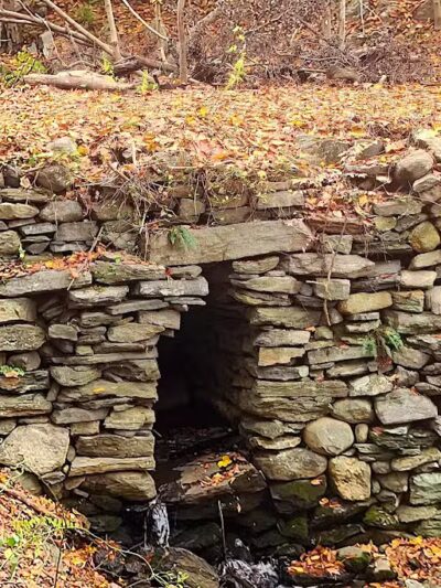 Grace Richardson conservatory area - Fairfield, CT