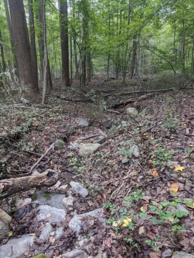 Grace Richardson conservatory area - Fairfield, CT