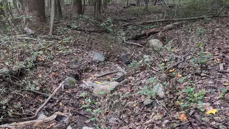 Grace Richardson conservatory area - Fairfield, CT