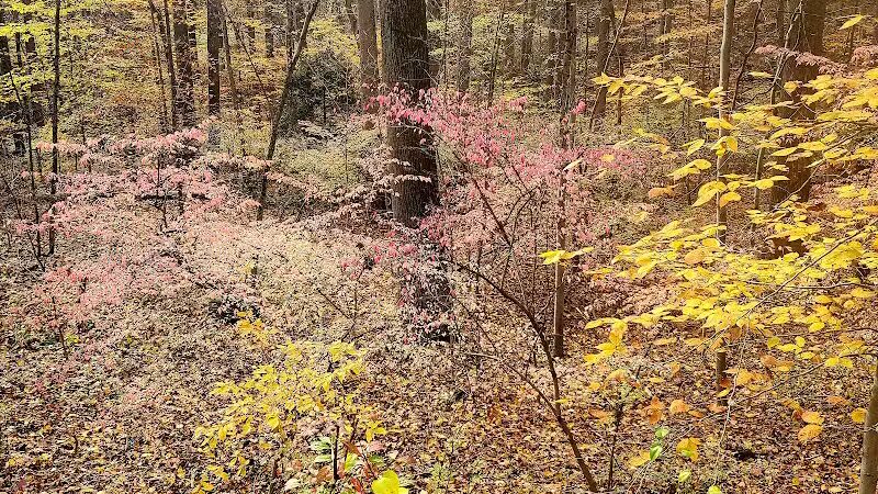 Grace Richardson conservatory area - Fairfield, CT