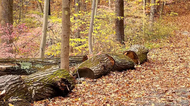 Grace Richardson conservatory area - Fairfield, CT