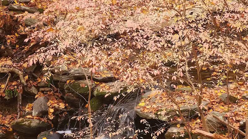 Grace Richardson conservatory area - Fairfield, CT