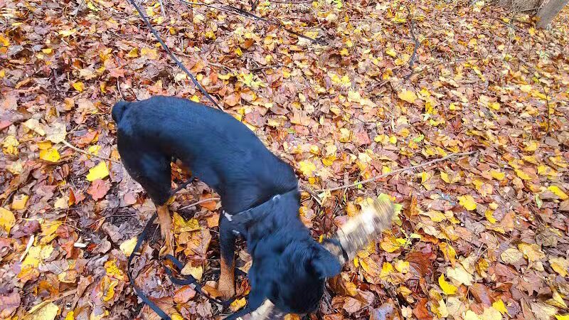 Grace Richardson conservatory area - Fairfield, CT