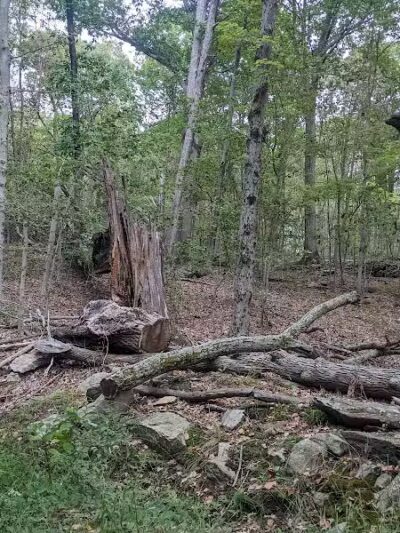 Grace Richardson conservatory area - Fairfield, CT