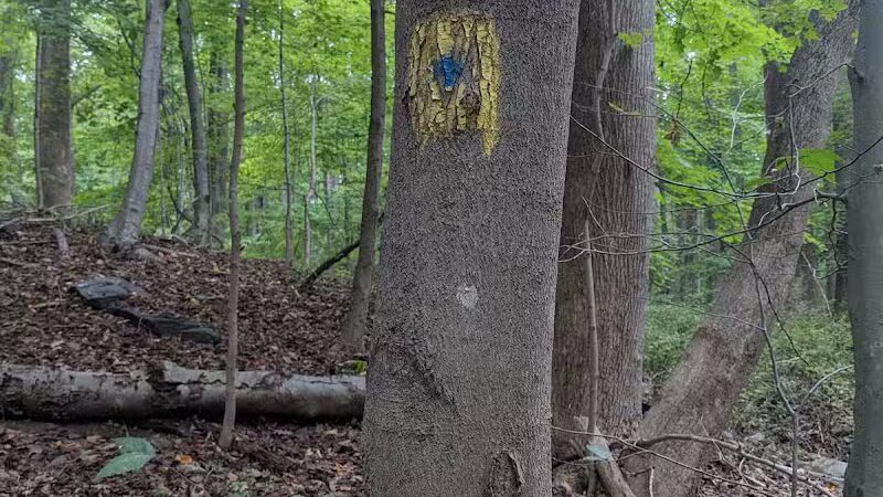 Grace Richardson conservatory area - Fairfield, CT