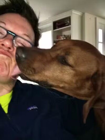 I Sit. I Stay. Dog Walking and Pet Sitting - Fairfield, CT