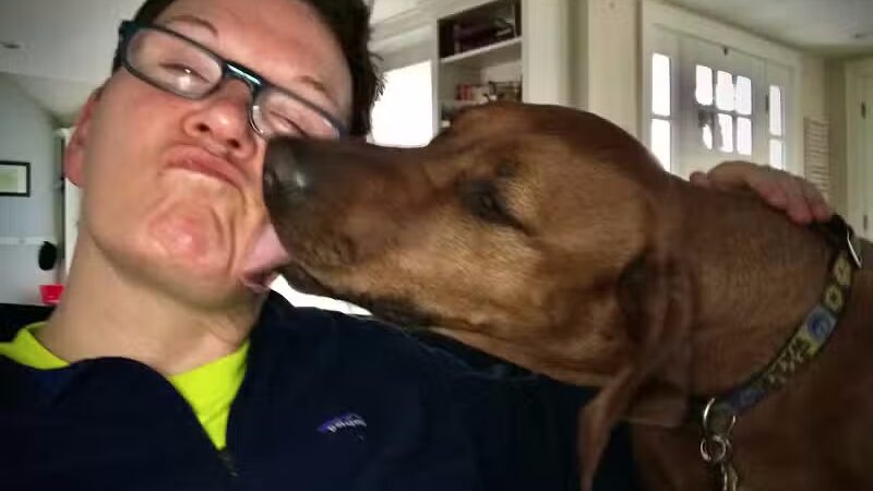 I Sit. I Stay. Dog Walking and Pet Sitting - Fairfield, CT