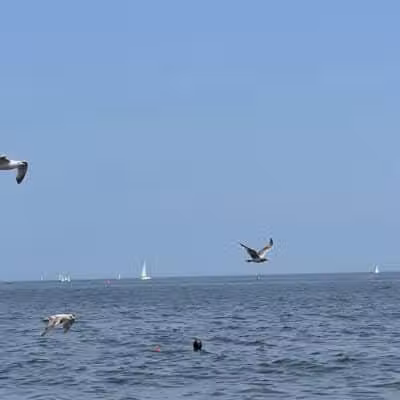 Jennings Beach - Fairfield, CT