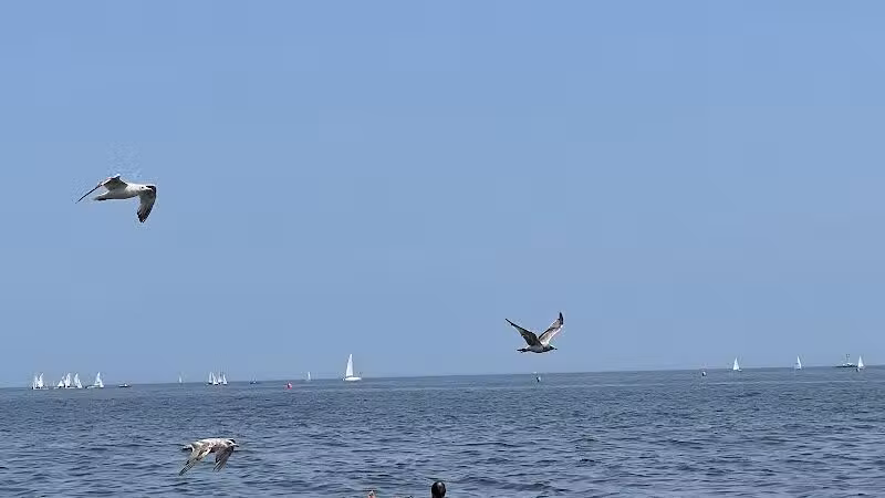 Jennings Beach - Fairfield, CT