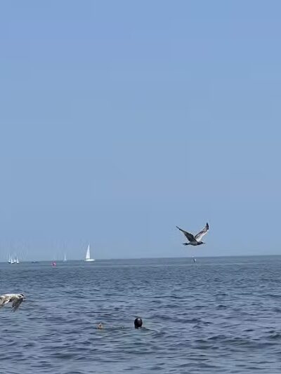 Jennings Beach - Fairfield, CT