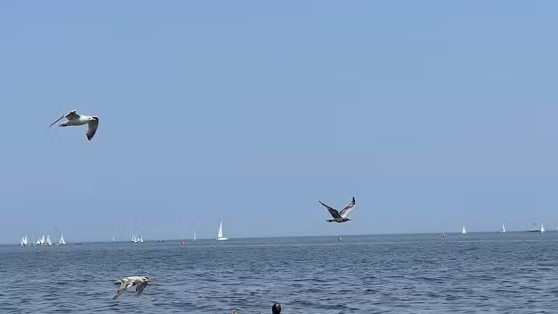 Jennings Beach - Fairfield, CT