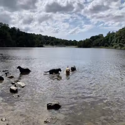 Lake Mohegan - Fairfield, CT