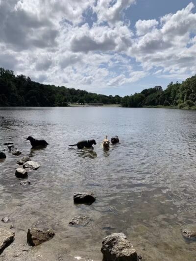 Lake Mohegan - Fairfield, CT