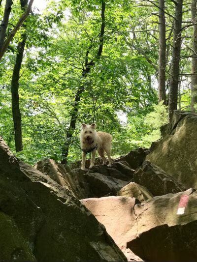 Lake Mohegan - Fairfield, CT