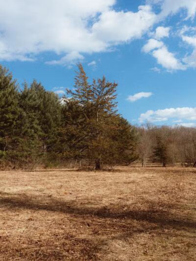 Lake Mohegan - Fairfield, CT