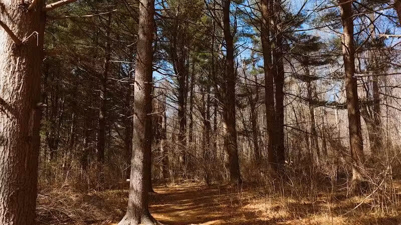 Lake Mohegan - Fairfield, CT