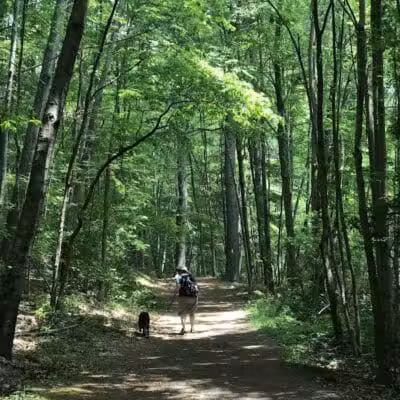 Lake Mohegan - Fairfield, CT