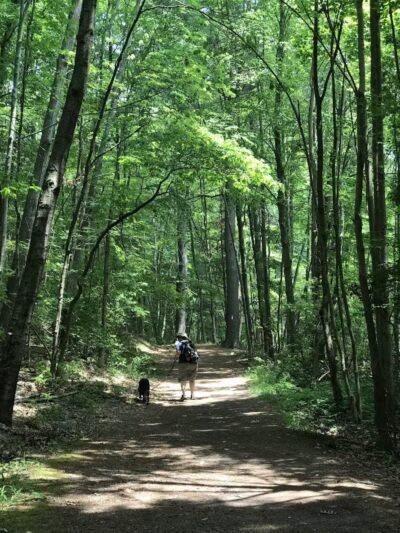 Lake Mohegan - Fairfield, CT