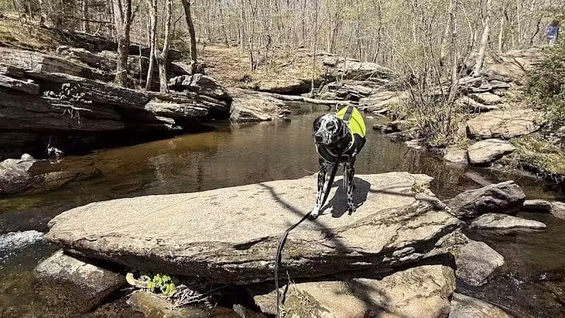 Lake Mohegan - Fairfield, CT