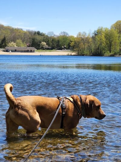 Lake Mohegan Recreational Area - Fairfield, CT