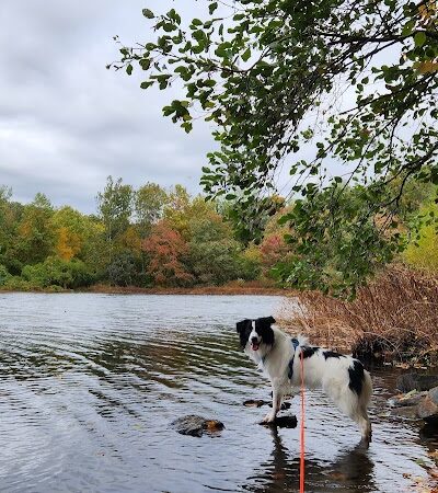 Lake Mohegan Recreational Area - Fairfield, CT