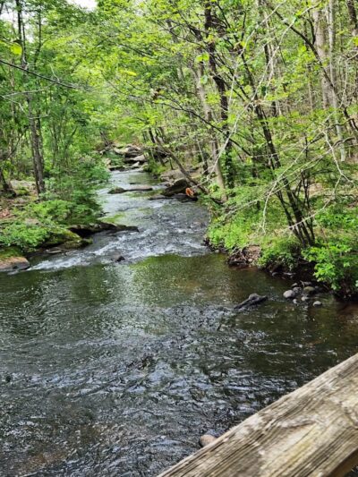 Lake Mohegan Recreational Area - Fairfield, CT