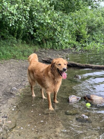 Lake Mohegan Recreational Area - Fairfield, CT