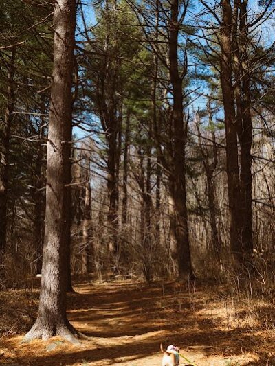 Lake Mohegan Recreational Area - Fairfield, CT