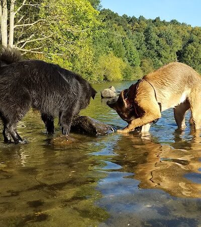 Lake Mohegan Splash Pad - Fairfield, CT
