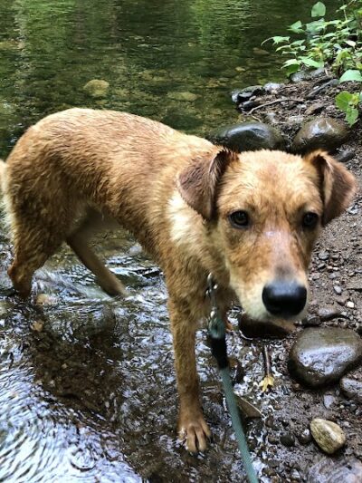 Lake Mohegan Splash Pad - Fairfield, CT