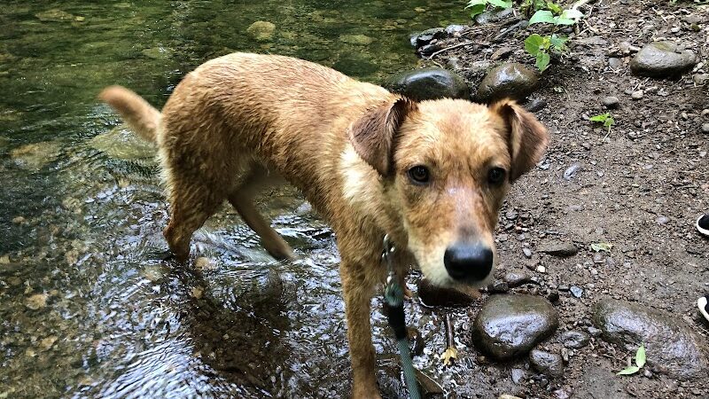 Lake Mohegan Splash Pad - Fairfield, CT