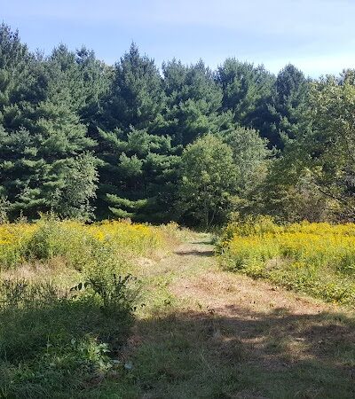 Lake Mohegan Splash Pad - Fairfield, CT