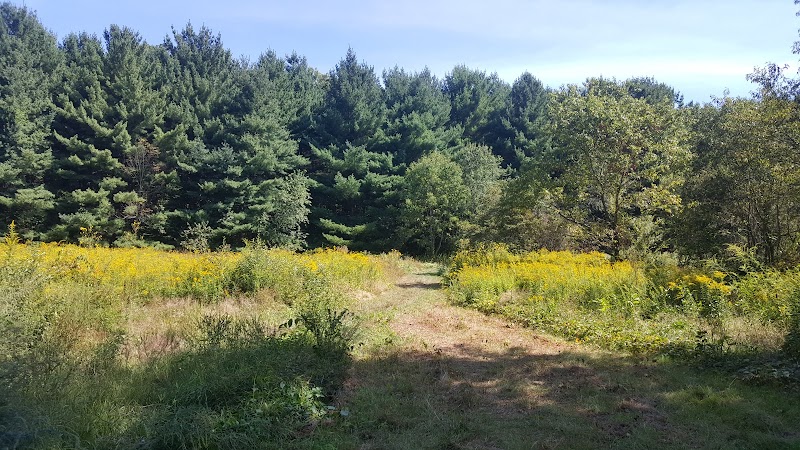 Lake Mohegan Splash Pad - Fairfield, CT