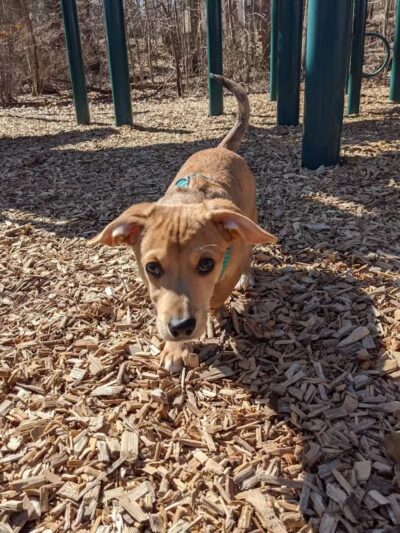 Lt Owen Fish Park - Fairfield, CT