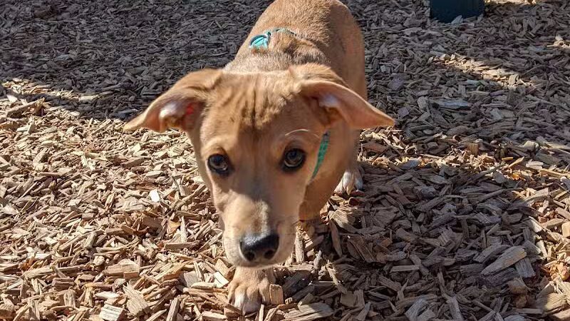 Lt Owen Fish Park - Fairfield, CT