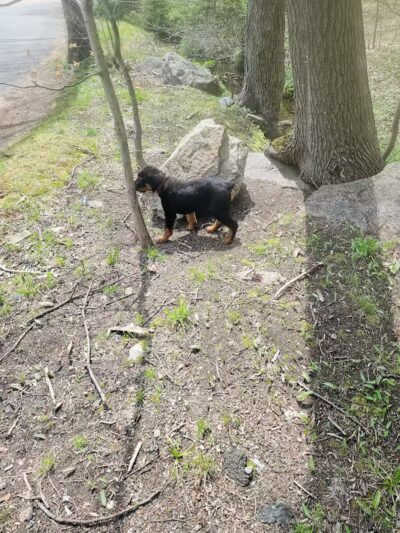 Lt Owen Fish Park - Fairfield, CT