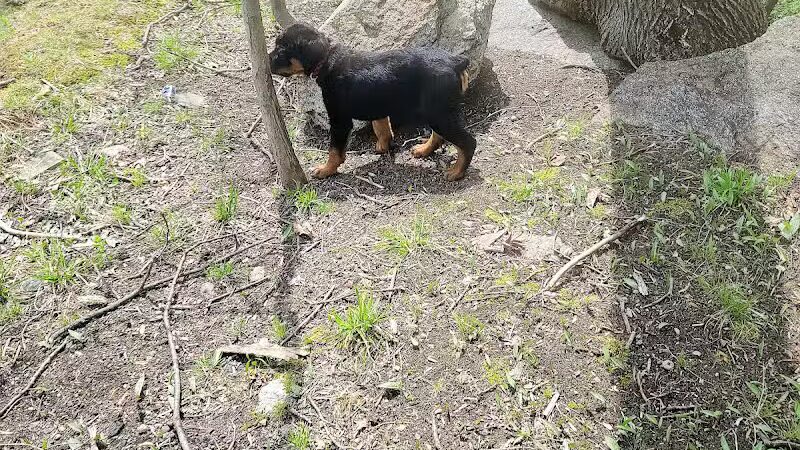 Lt Owen Fish Park - Fairfield, CT