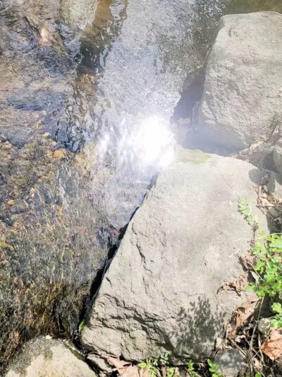 Lt Owen Fish Park - Fairfield, CT