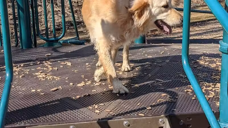 Lt Owen Fish Park - Fairfield, CT