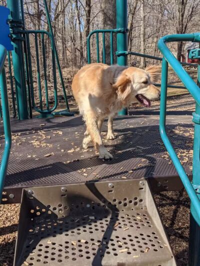 Lt Owen Fish Park - Fairfield, CT