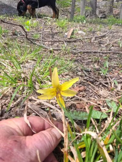 Lt Owen Fish Park - Fairfield, CT