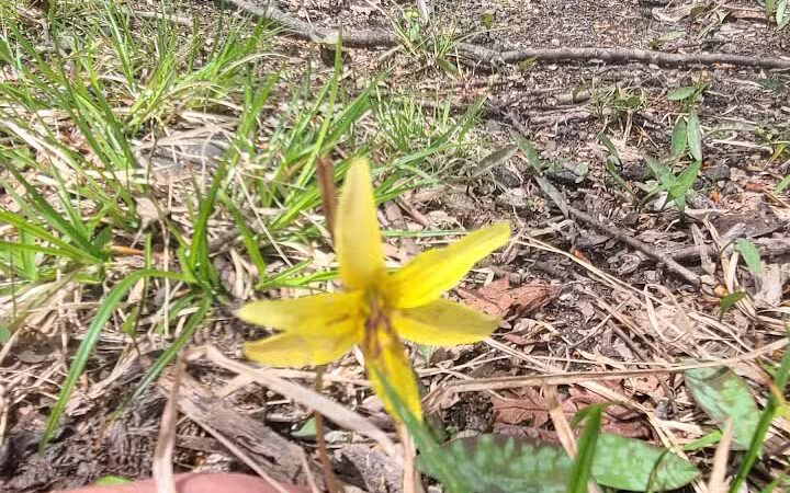 Lt Owen Fish Park - Fairfield, CT