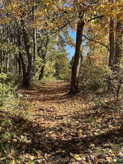 Old Fording Place - Fairfield, CT