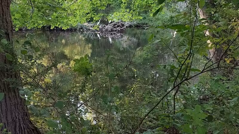 Old Fording Place - Fairfield, CT