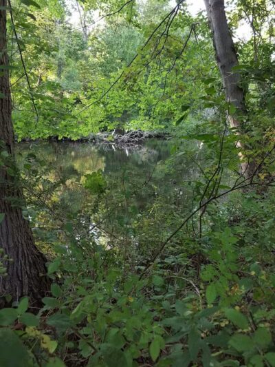 Old Fording Place - Fairfield, CT